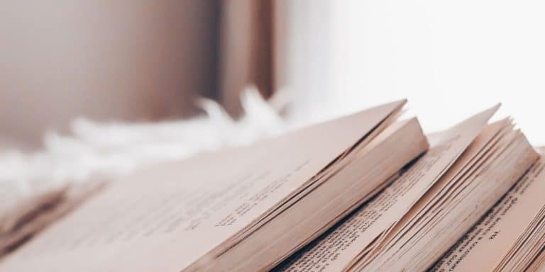 Le Wagon Livres Les 10 bonnes raisons pour se remettre a lire