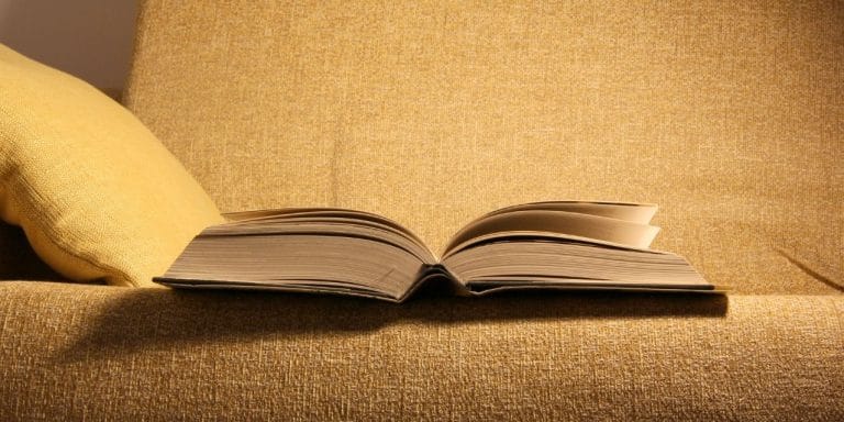 Le Wagon Livres Les 15 livres pour reprendre gout a la lecture